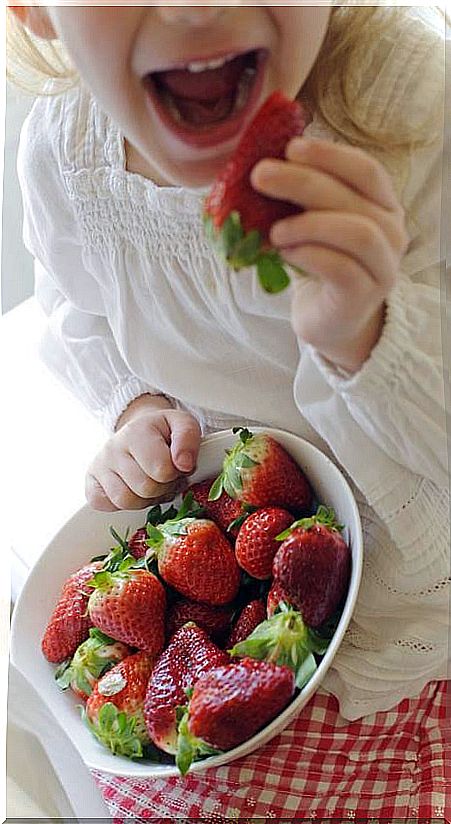 Vegan kids breakfasts